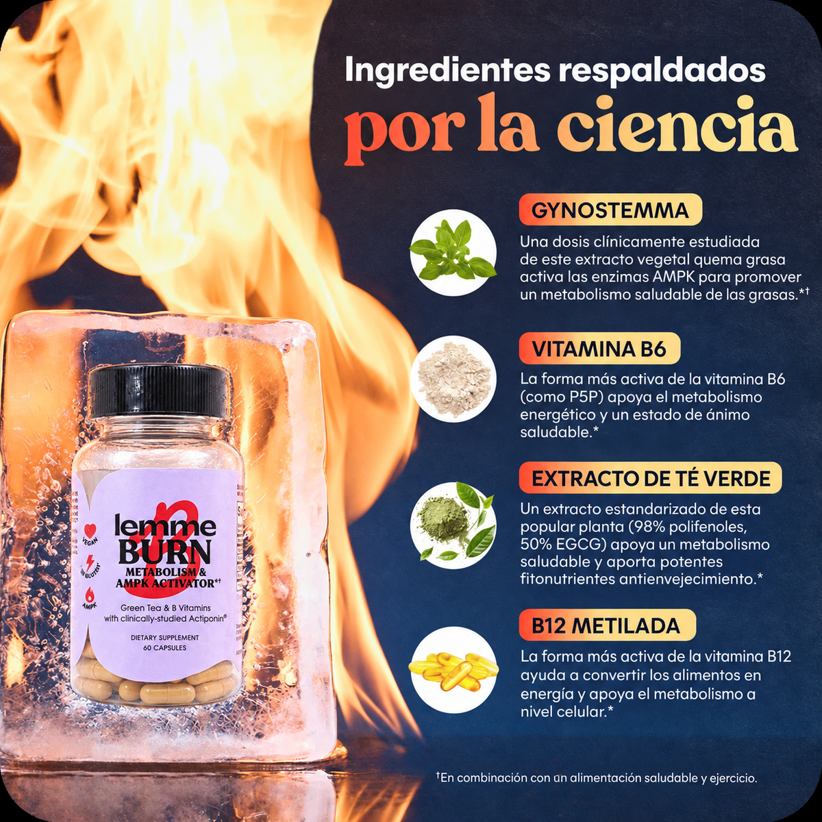 LEMME BURN | Cápsulas activadoras del metabolismo y de la enzima AMPK