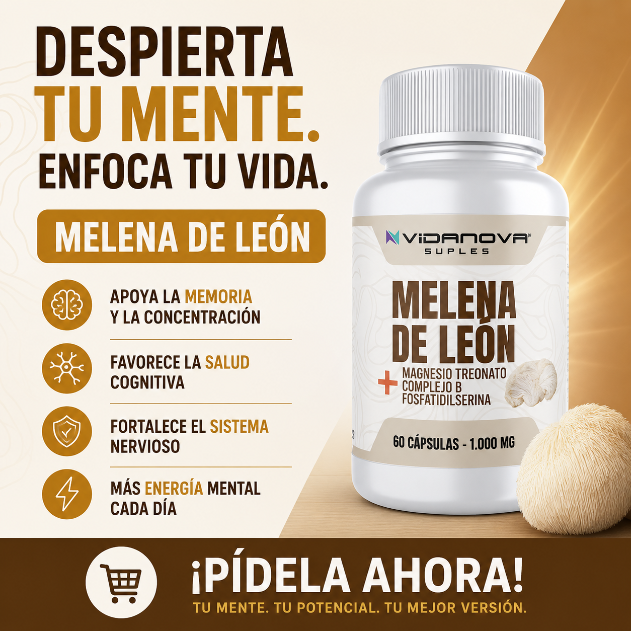 MELENA DE LEON FORTIFICADA